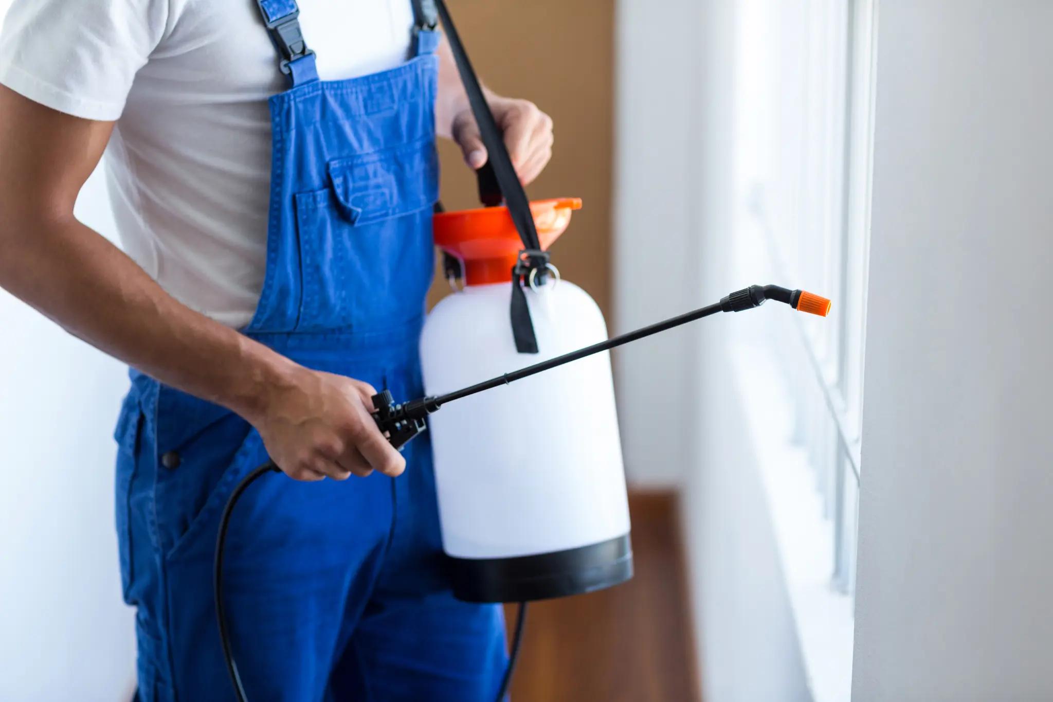 Cheap pest control services in Dubai