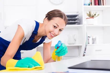 Organic cleaning service